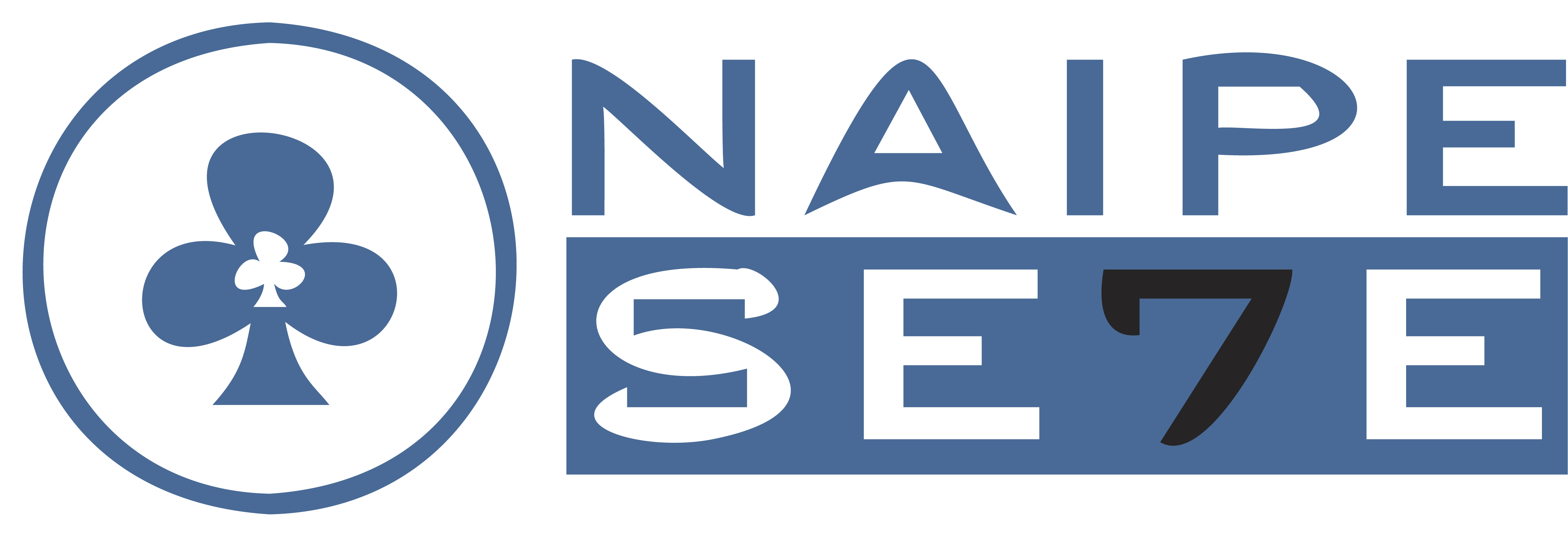 Logotipo Horizontal Naipe 7 Branco e Azul